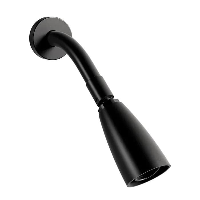 Regadera de Cono Negra con Brazo y Chapetón Iguazú Helvex - H-202EB