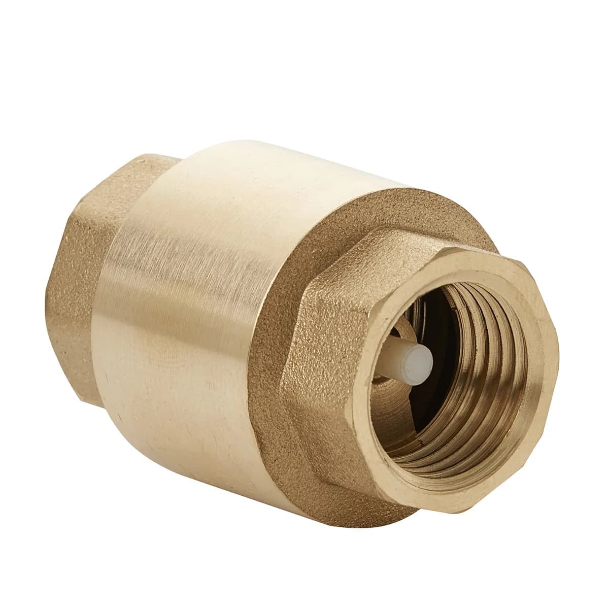 Válvula Check de Retención con Resorte de 32 mm (1 1/4") Mueller - 101-306